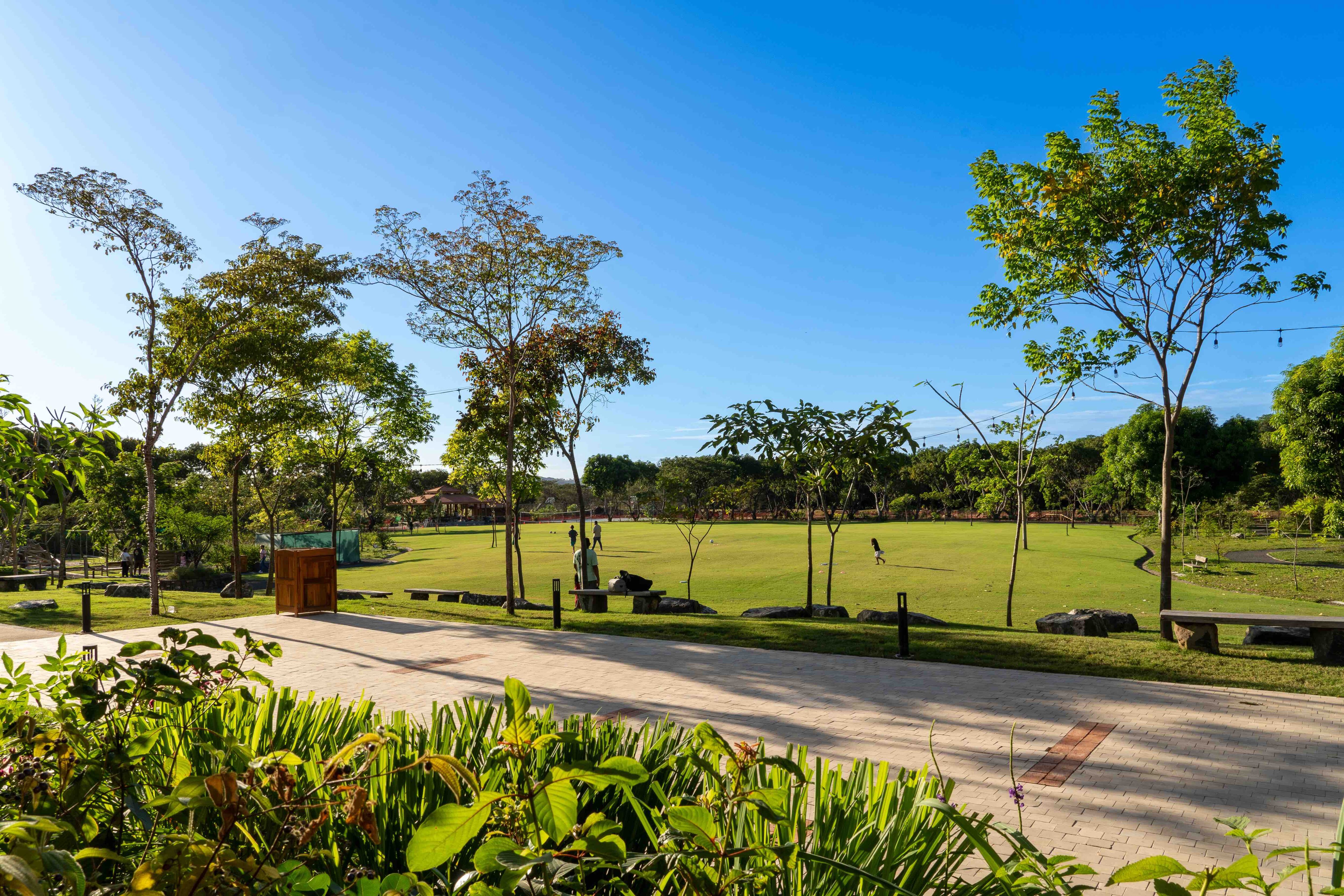 Café Mariposa Sabores