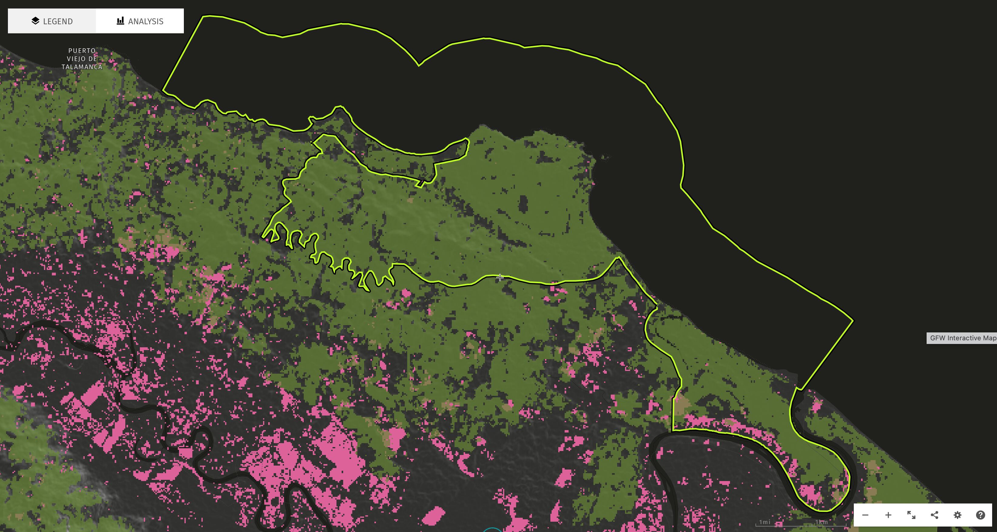 Este mapa de Global Forest Watch refleja las áreas continental y marítima del Refugio Nacional de Vida Silvestre Gandoca-Manzanillo, en el cantón de Talamanca. Los puntos rosados representan pérdida de cobertura arbórea. Fotografía: Global Forest Watch