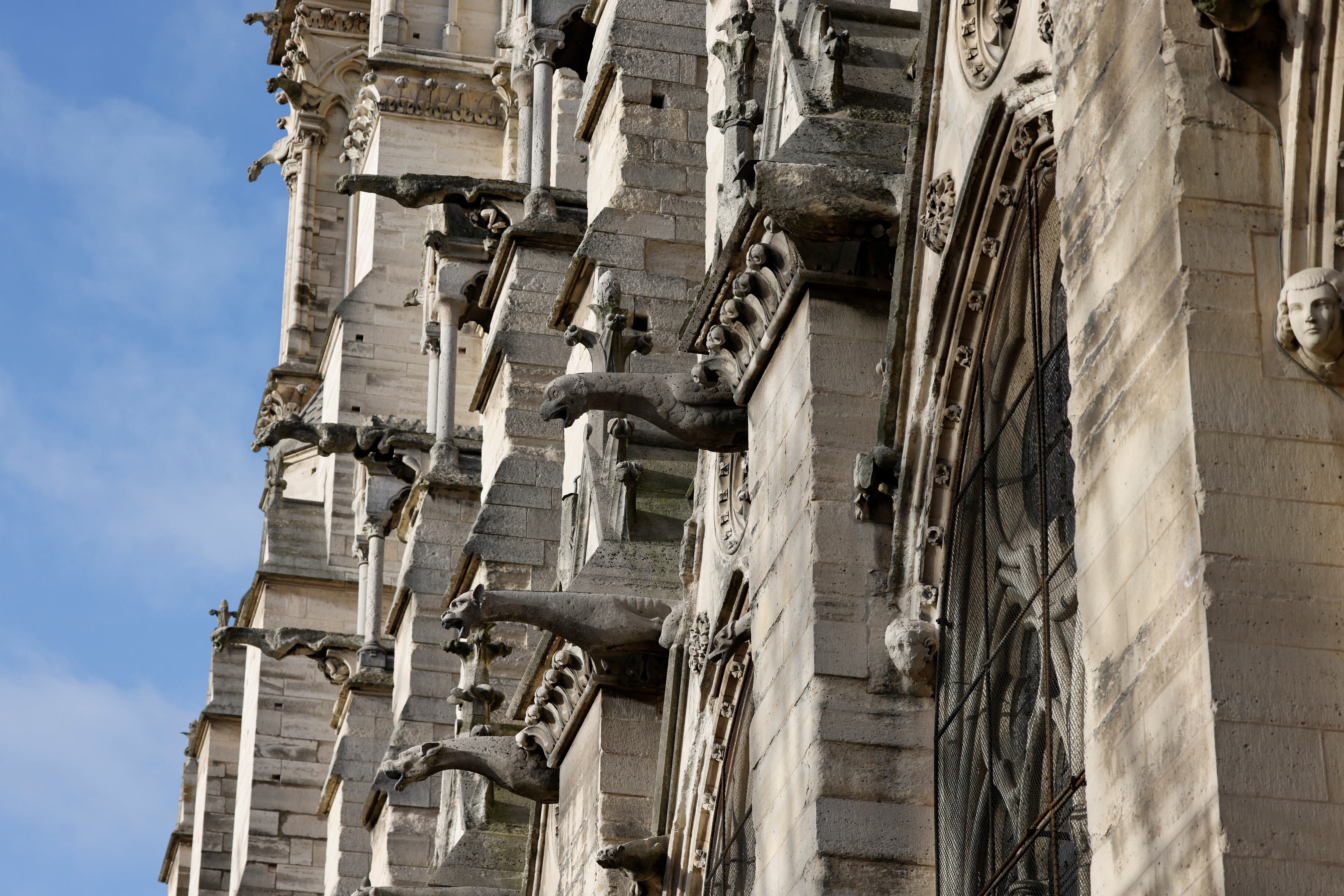 Gárgolas restauradas en la catedral de Notre Dame, París, vistas de perfil contra el cielo.