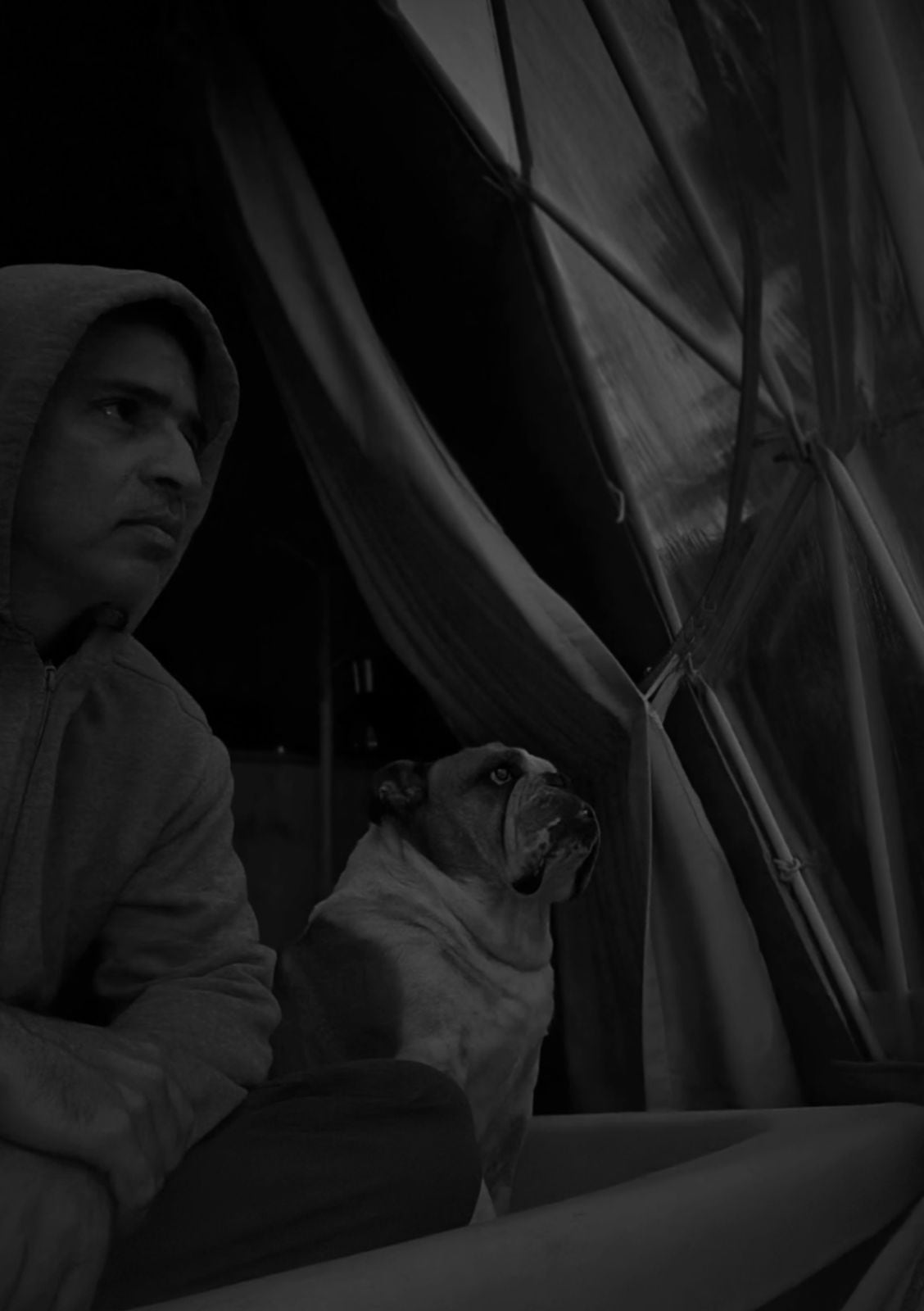 Bongo fue más que una mascota: acompañó al actor en su vida personal y en algunos de sus proyectos profesionales.