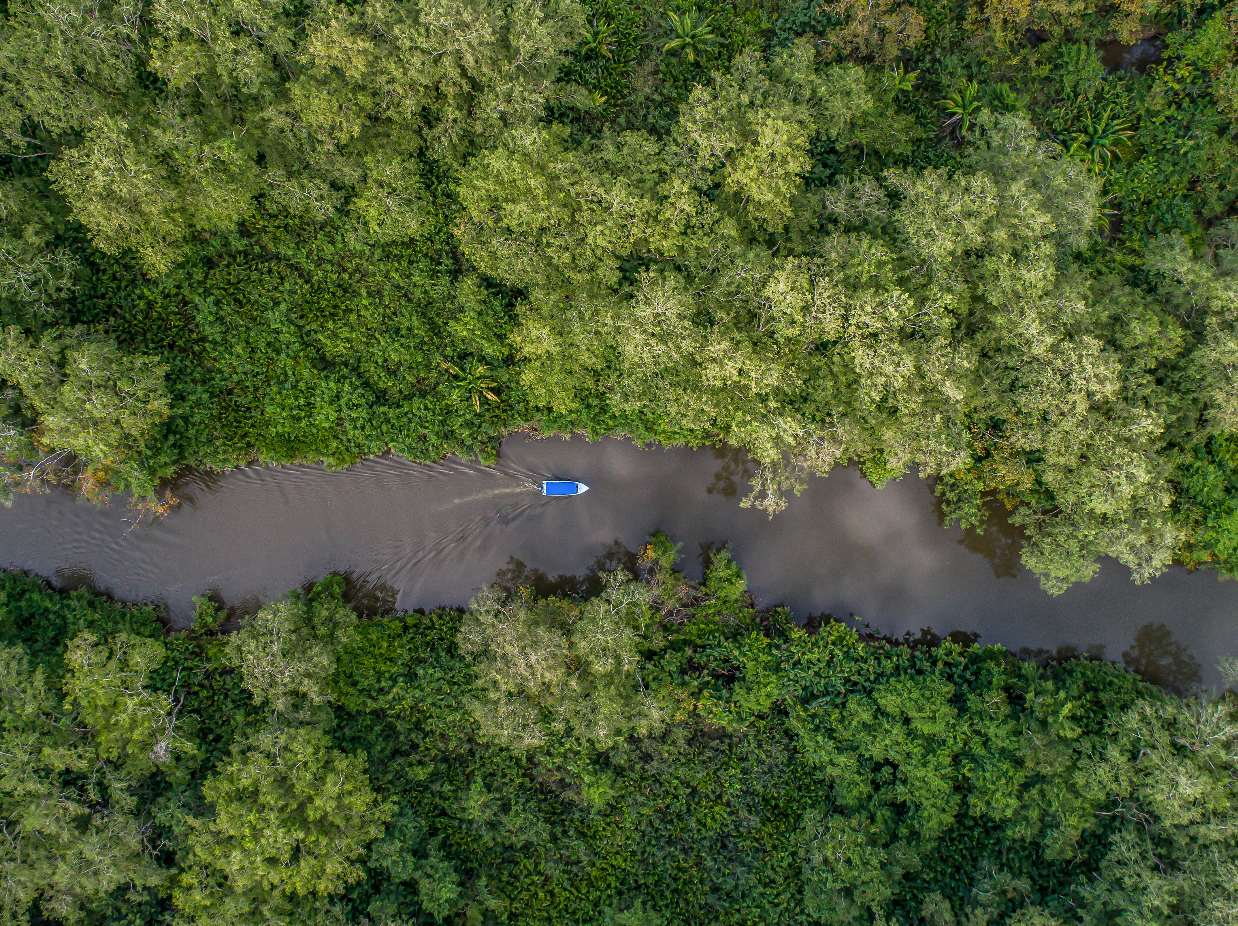 Humedales Costa rica