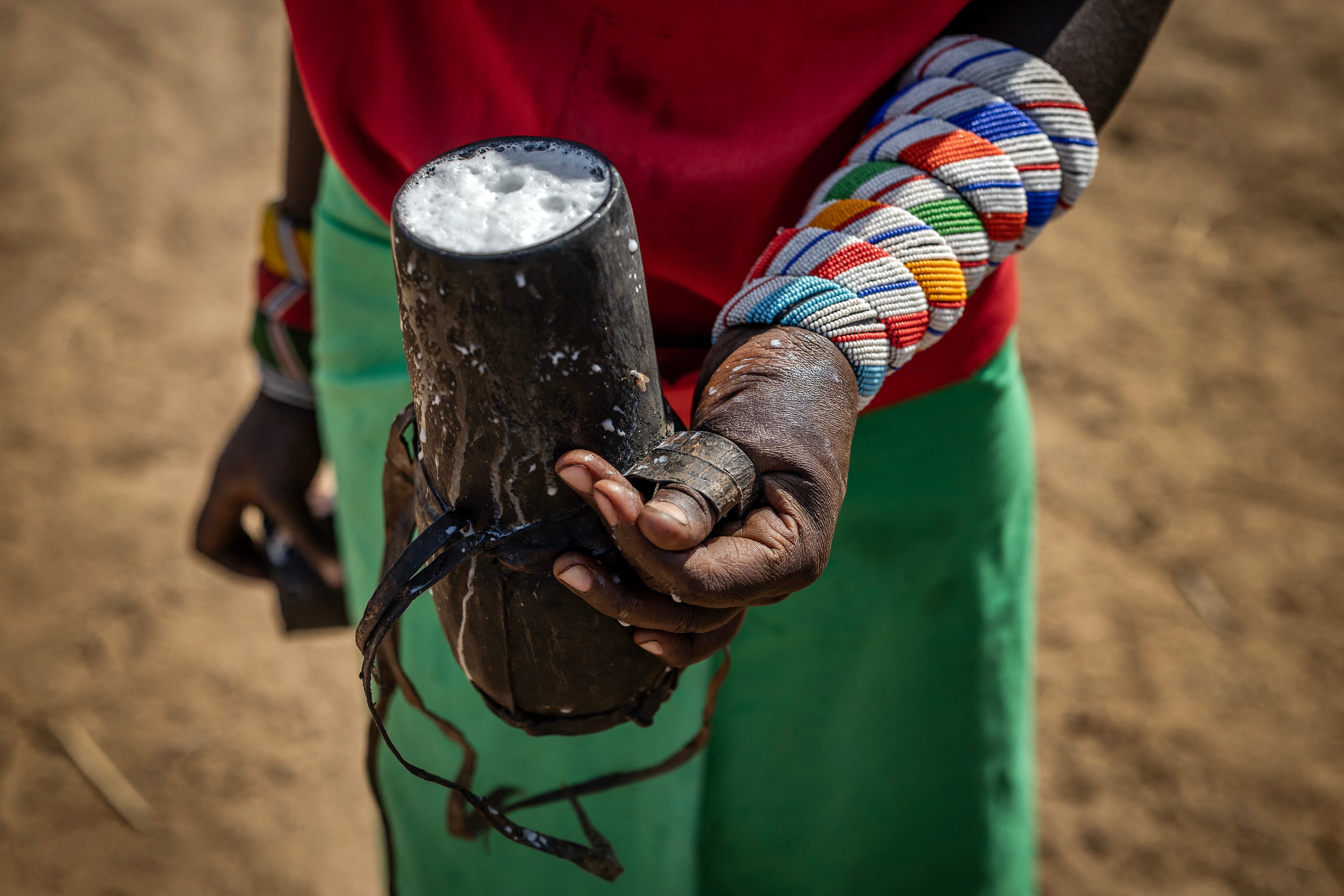 Una pastora samburu sostiene un recipiente con leche de camella recién ordeñada de su rebaño en una manyatta (un asentamiento pastoral) cerca de Sereolipi, el 29 de septiembre de 2025. Estos mamíferos de cuello largo, que pueden alimentarse de pastos secos, pasar más de una semana sin agua y producir hasta seis veces más leche que el ganado nativo, están aumentando progresivamente en el norte de Kenia, donde los cambios climáticos han exacerbado la desnutrición y alimentado las tensiones en las últimas décadas.