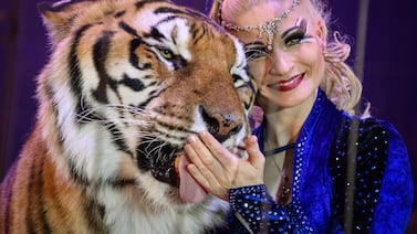 Tigre escapa de recinto privado en Alemania, hiere a adulto mayor y termina abatido por la policía