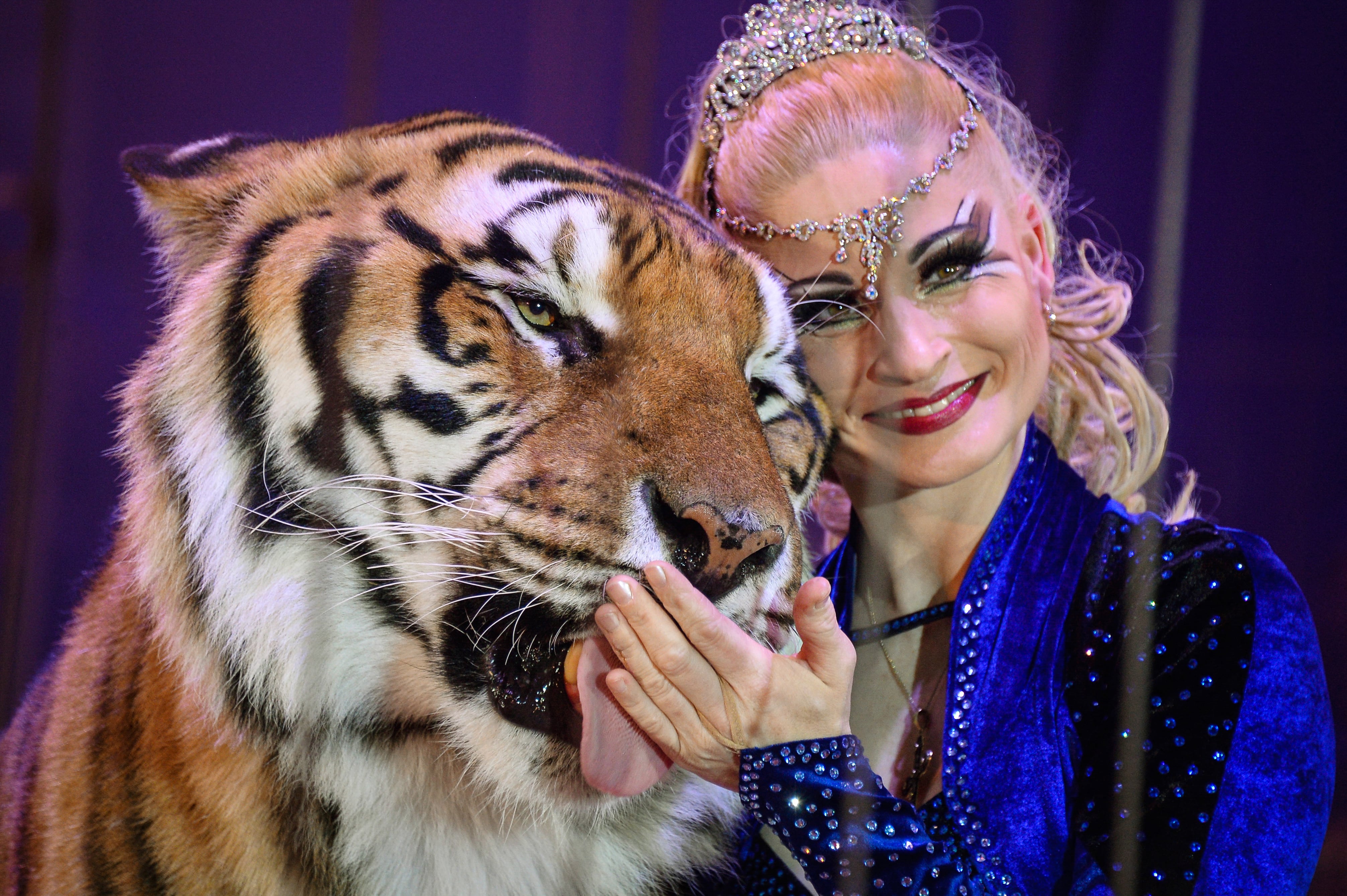 En esta fotografía tomada el 23 de enero de 2015, la entrenadora alemana Carmen Zander (derecha) posa junto a un tigre durante el Festival Internacional de Circo en Massy. La Ciudad de París se comprometió el 13 de diciembre de 2017 a convertirse en una ciudad libre de animales salvajes en circos, sin establecer un plazo específico y trasladando al Estado la responsabilidad de una prohibición. La decisión fue unánime y los grupos ecologistas la calificaron como un "pequeño avance". (Foto: BERTRAND GUAY / AFP)