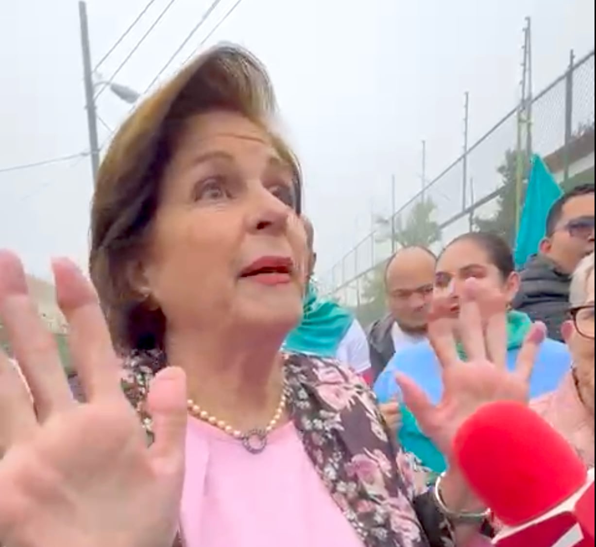 La diputada oficialista Pilar Cisneros denunció que recibió un “banderazo” y fue insultada al ingresar al centro de votación en la escuela Julián Volio Llorente, en El Carmen de Cartago.