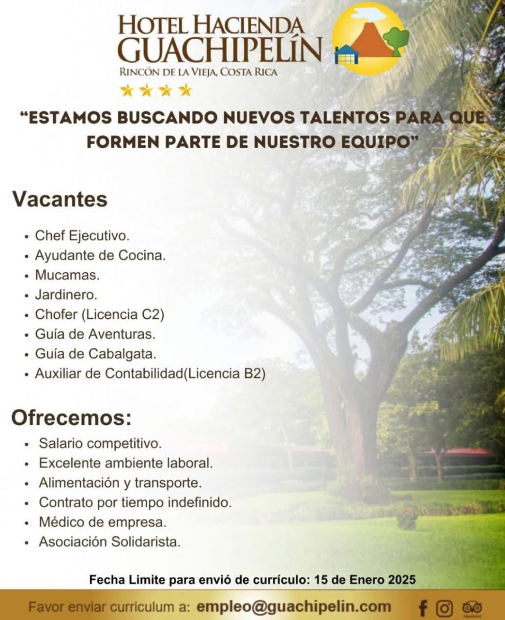 empleo
