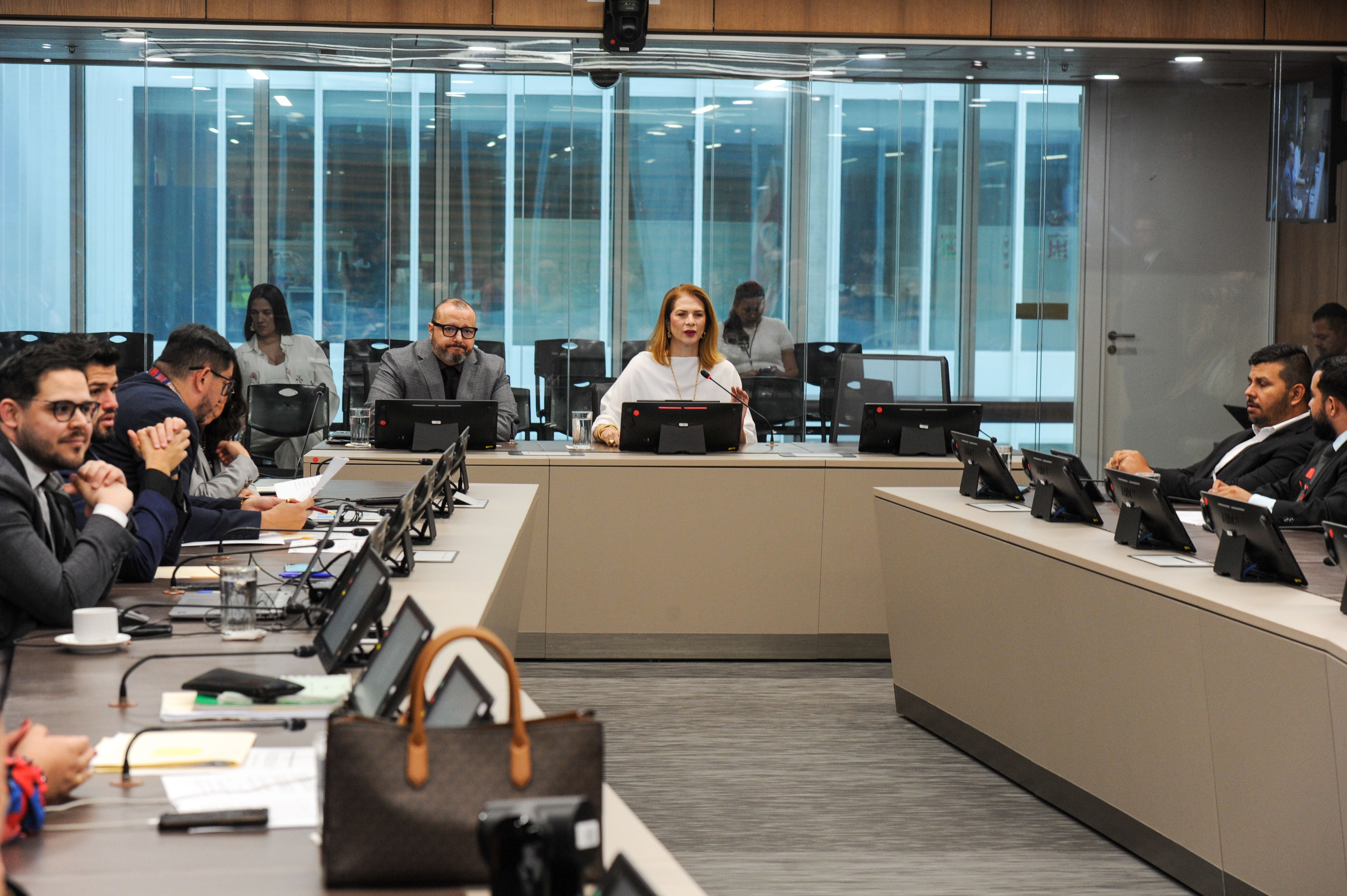 Comisión, comparecencia de Mónica Araya Esquivel.