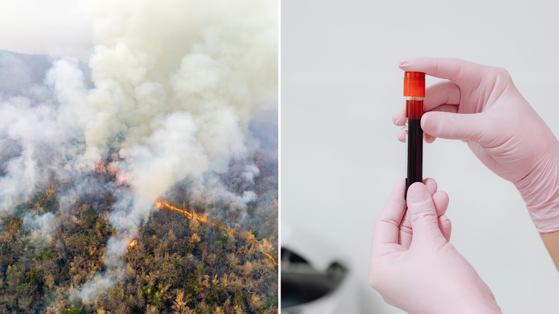 Científicos hallan relación entre el aumento del CO2 atmosférico y cambios en el bicarbonato de la sangre. Tendencia podría intensificarse en las próximas décadas.