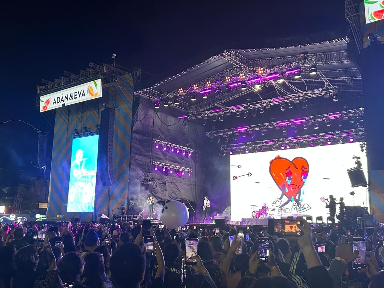 Simple Plan Picnic 2026