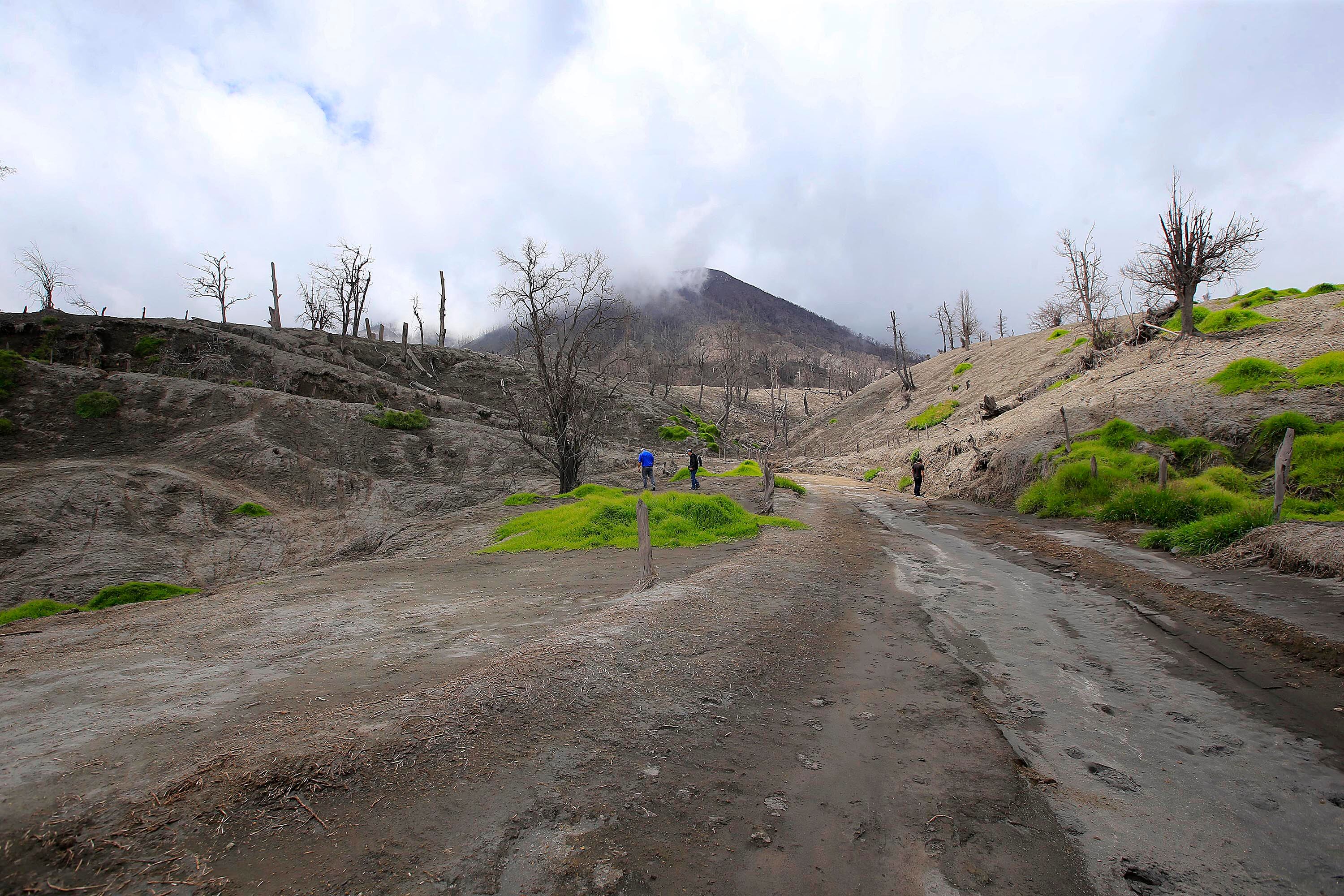 Hacienda La Central, Santa Cruz de Turrialba.