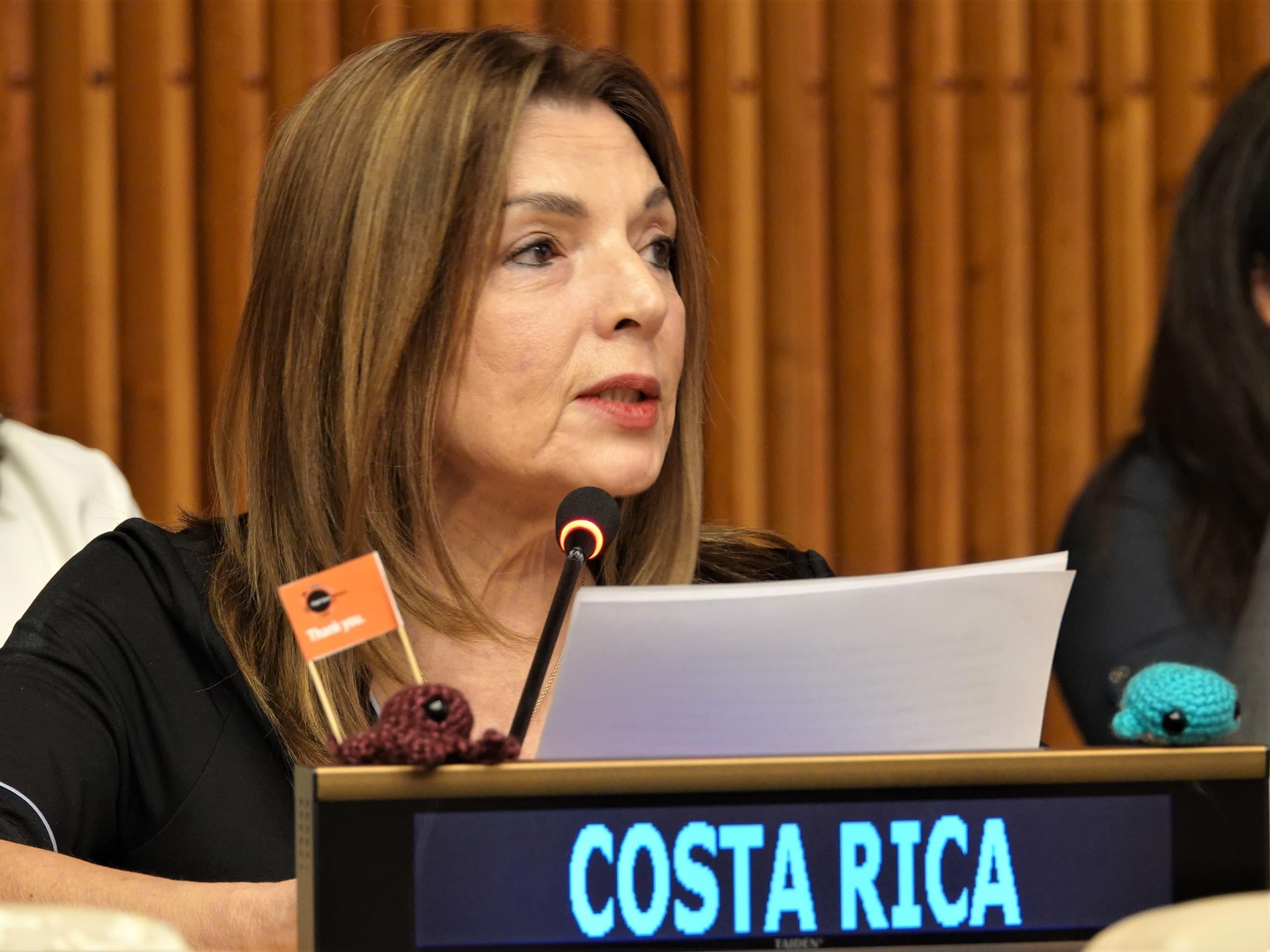 El Consejo de Gobierno designó a Georgina Guillén como embajadora en Ecuador; la diplomática ingresó a la Cancillería en 2001.