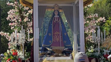 Suspenden romería de Ujarrás por riesgo de ataques de abejas africanizadas; estas serán las actividades programadas