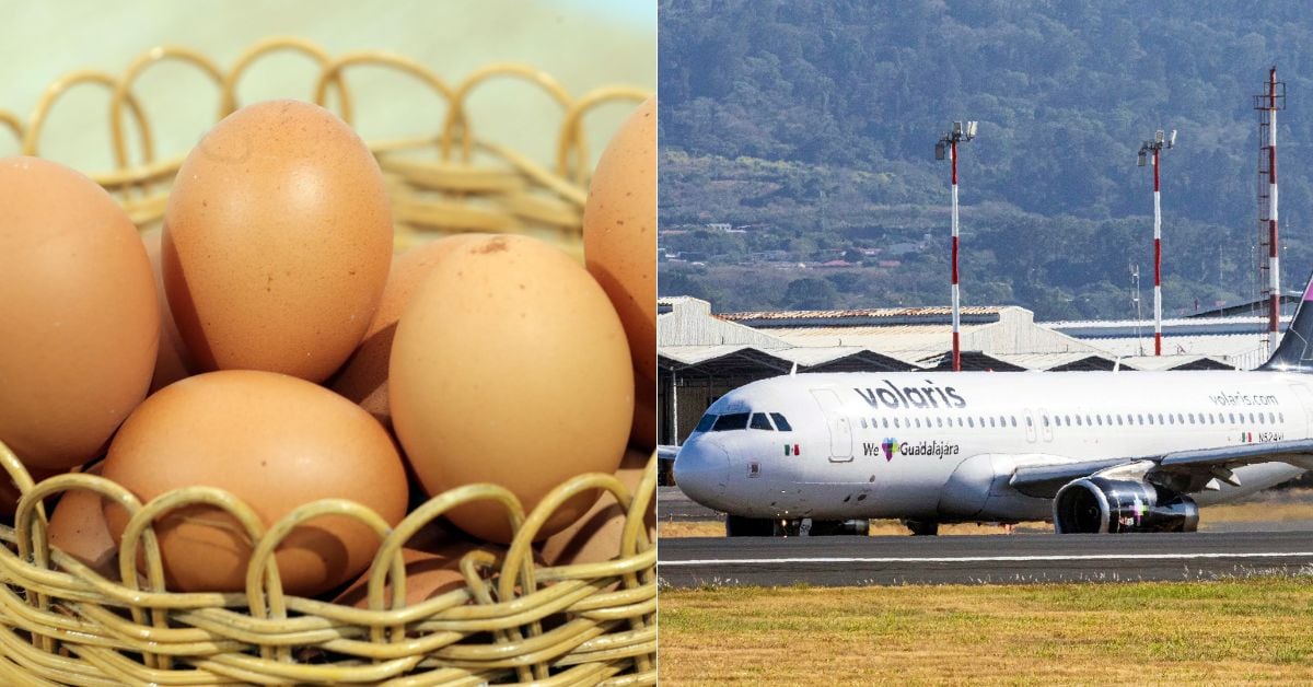 en la imagen huevos y un avión