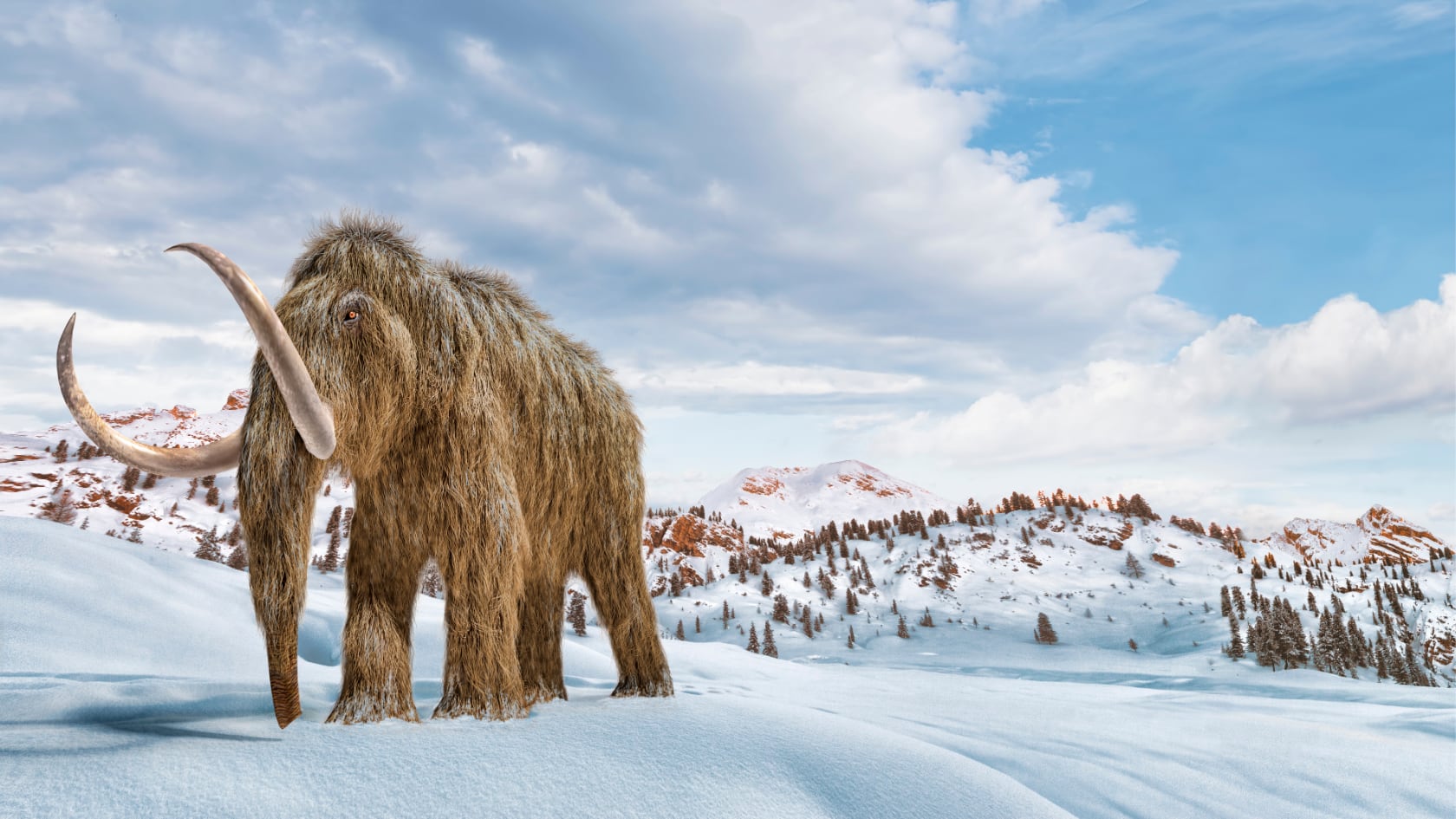 Investigadores corrigieron una identificación histórica y confirmaron que restos hallados en Alaska correspondían a ballenas prehistóricas, no a mamuts. (Imagen con fines ilustrativos)