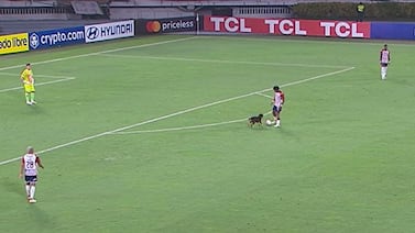 Perro interviene en partido de fútbol y expone a equipo local a sanción económica