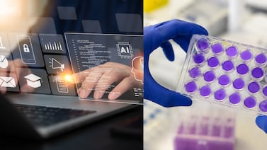 Dispositivos médicos, tecnología y turismo: los sectores que podrían beneficiarse del acercamiento con India