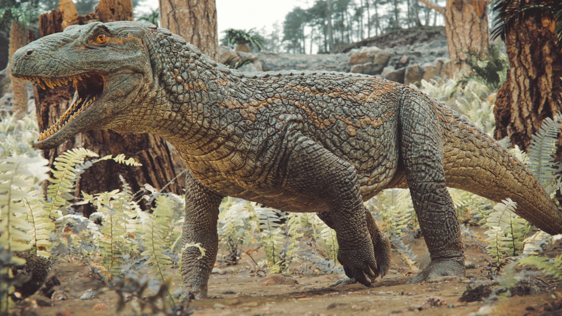 El Tainrakuasuchus bellator medía 2,4 metros y muestra la diversidad de reptiles que vivieron antes de los dinosaurios.