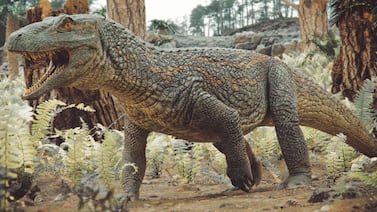 Descubierto en Latinoamérica el ancestro del cocodrilo que se parecía a un dinosaurio