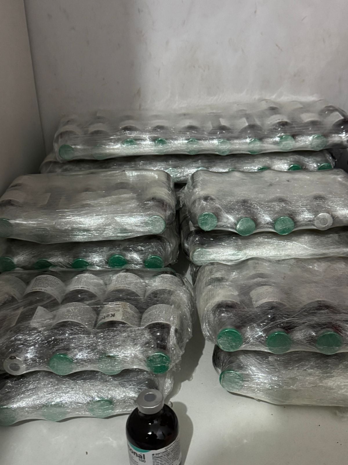 Decomiso de metanfetaminas en San Pablo de Heredia