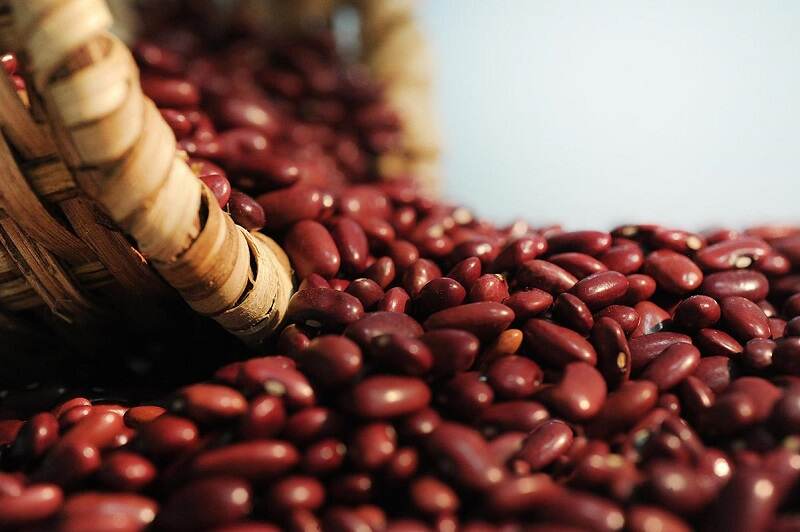La producción de frijoles cayó un 50% en Upala, Santa Rosa, Los Chiles y Guatuso (zona norte), según el reporte del Consejo Nacional de Producción.
