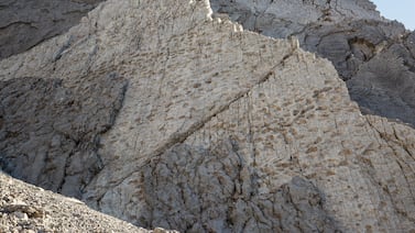 ‘Triassic Park’: miles de huellas de dinosaurios encontradas en los Alpes italianos