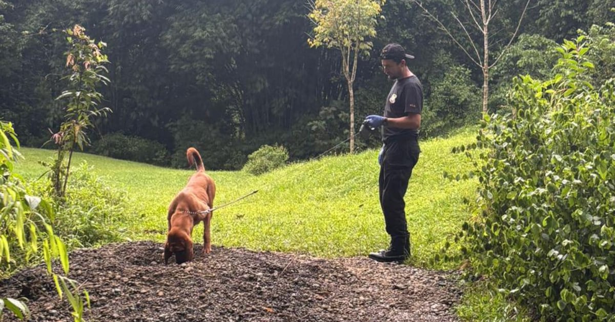Los restos de los extranjeros fueron enterrados a escasos metros de su vivienda en Quepos.