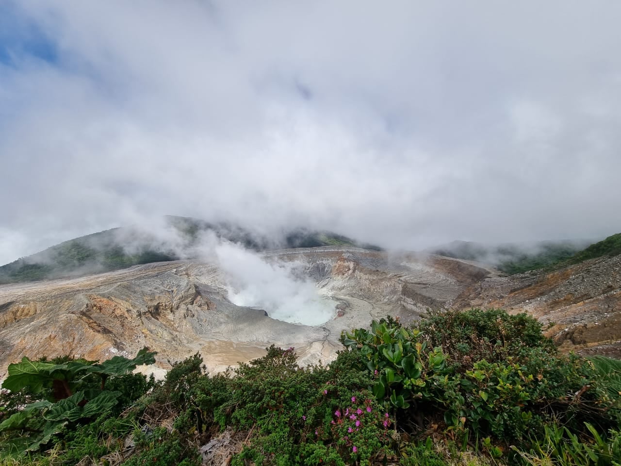 En el cráter del Poás es constante la salida de gases debido a que muchas fumarolas que antes estaban bajo el agua, quedaron en contacto directo con la atmósfera al bajar el nivel del lago. Foto: Josué Solano M.