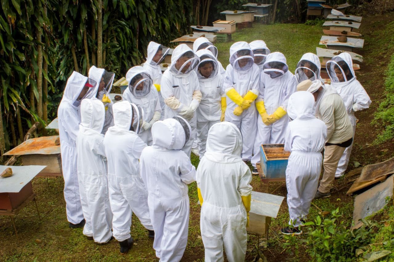 El tour de las abejas es en San Ramón. (Cortesía)