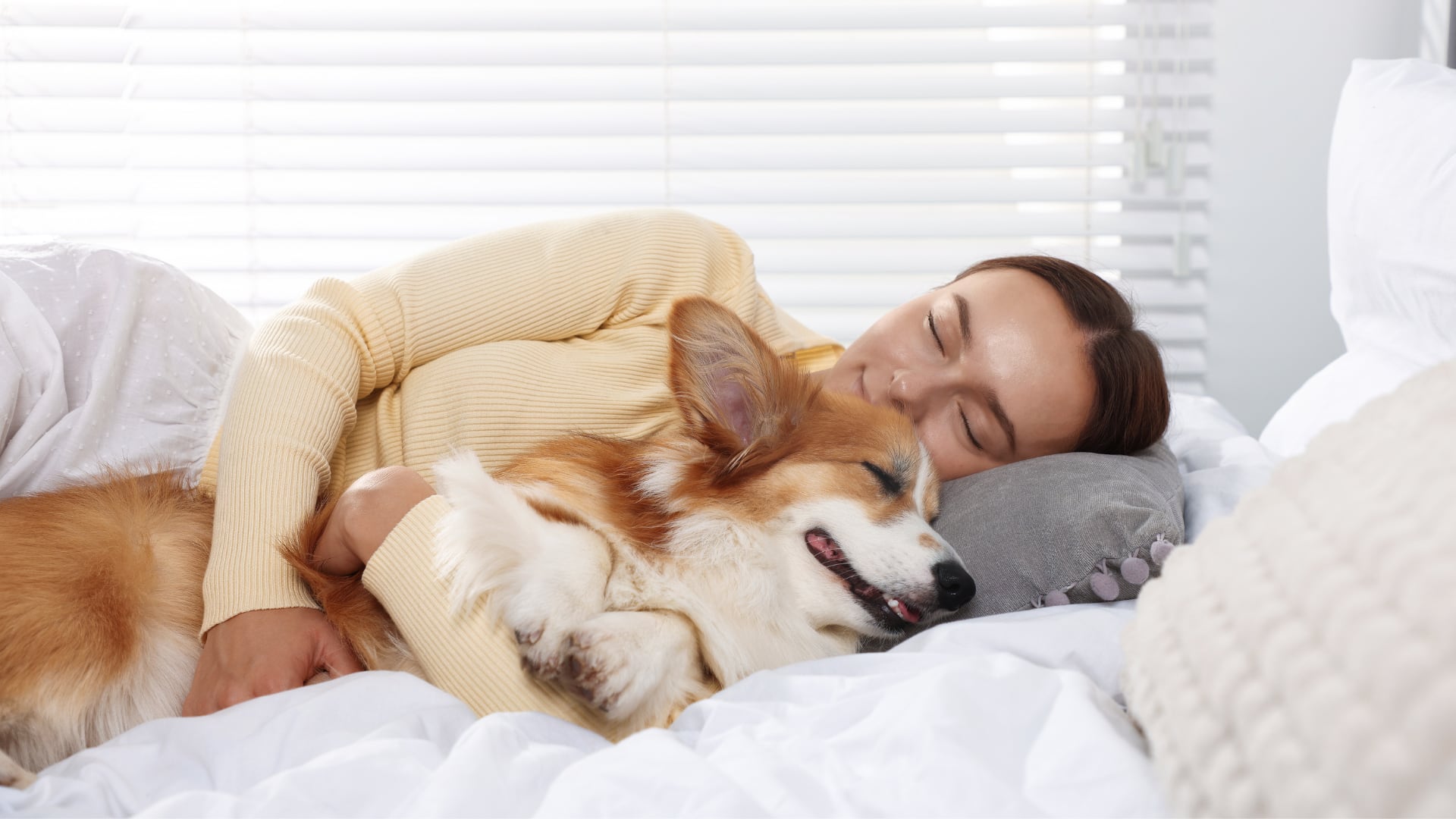 Limpiar las patas con productos adecuados y cuidar la salud dental de las mascotas son hábitos que favorecen tanto su bienestar como el de quienes conviven con ellas.