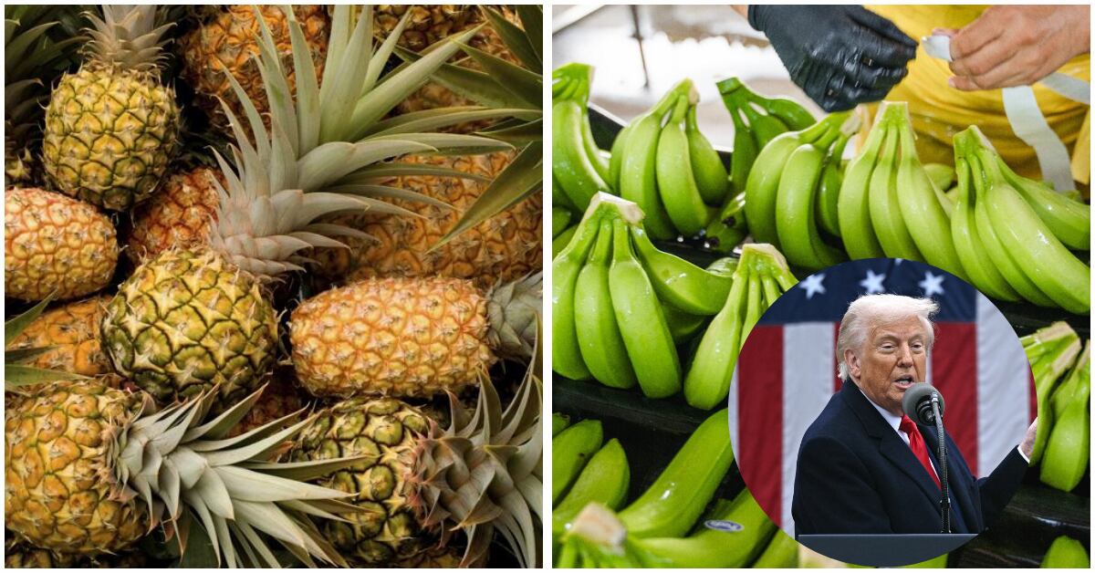 Fotocomposición de imagenes de piñas y bananos con una fotografía incluida de un hombre de traje y corbata con la bandera de Estados Unidos a sus espaldas.