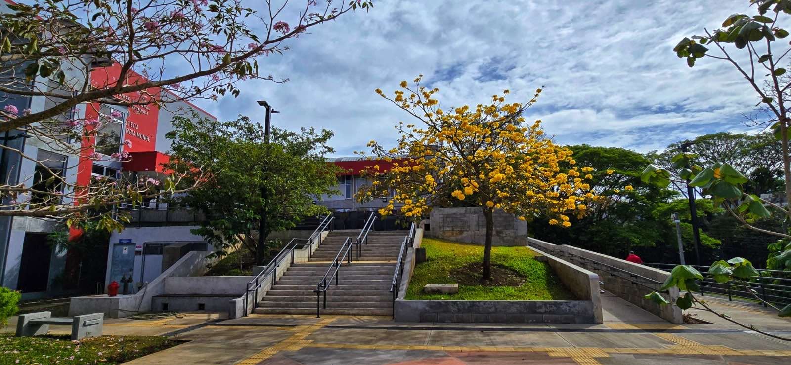 Universidad Nacional