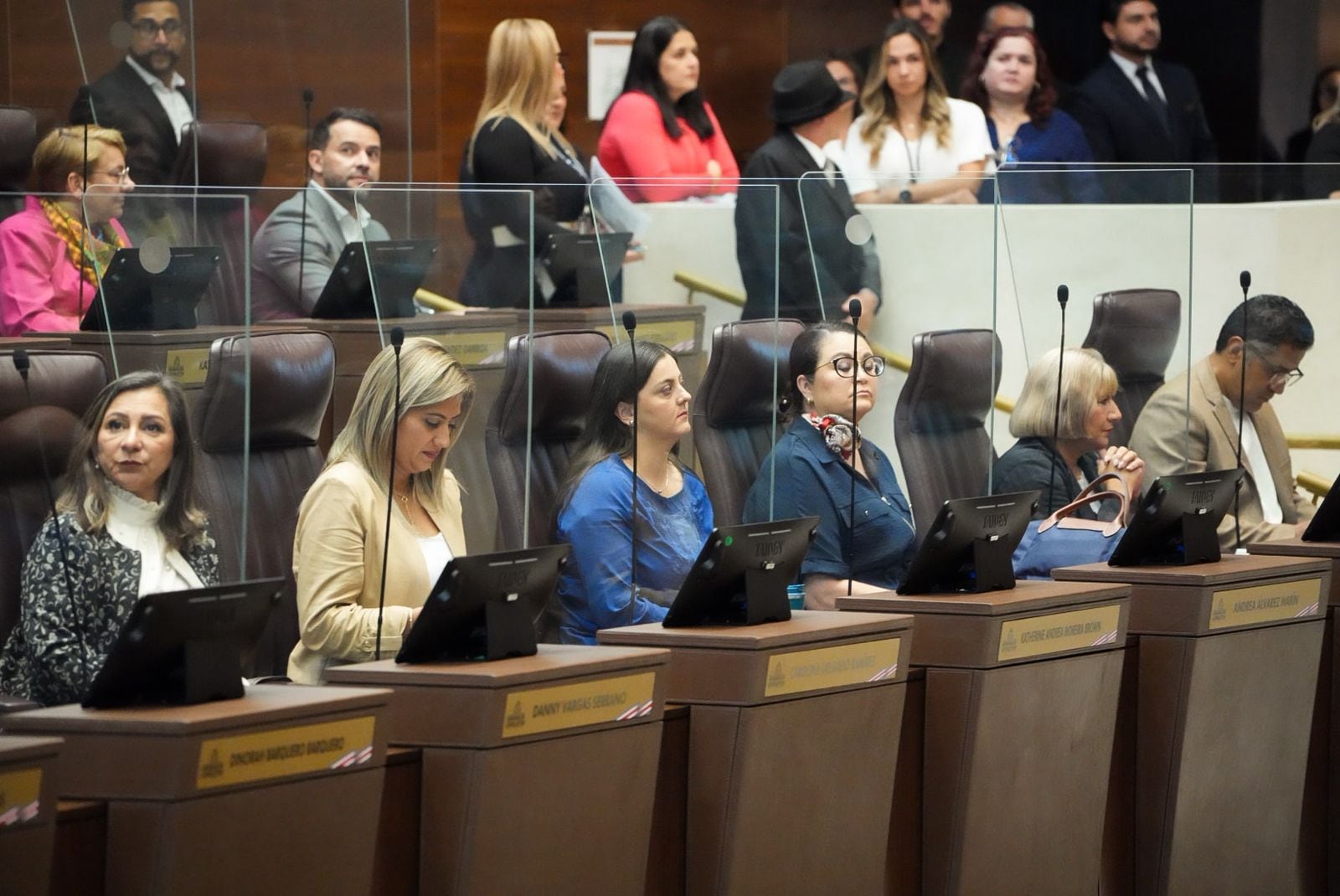 Capacitación en plenario legislativo diputados electos