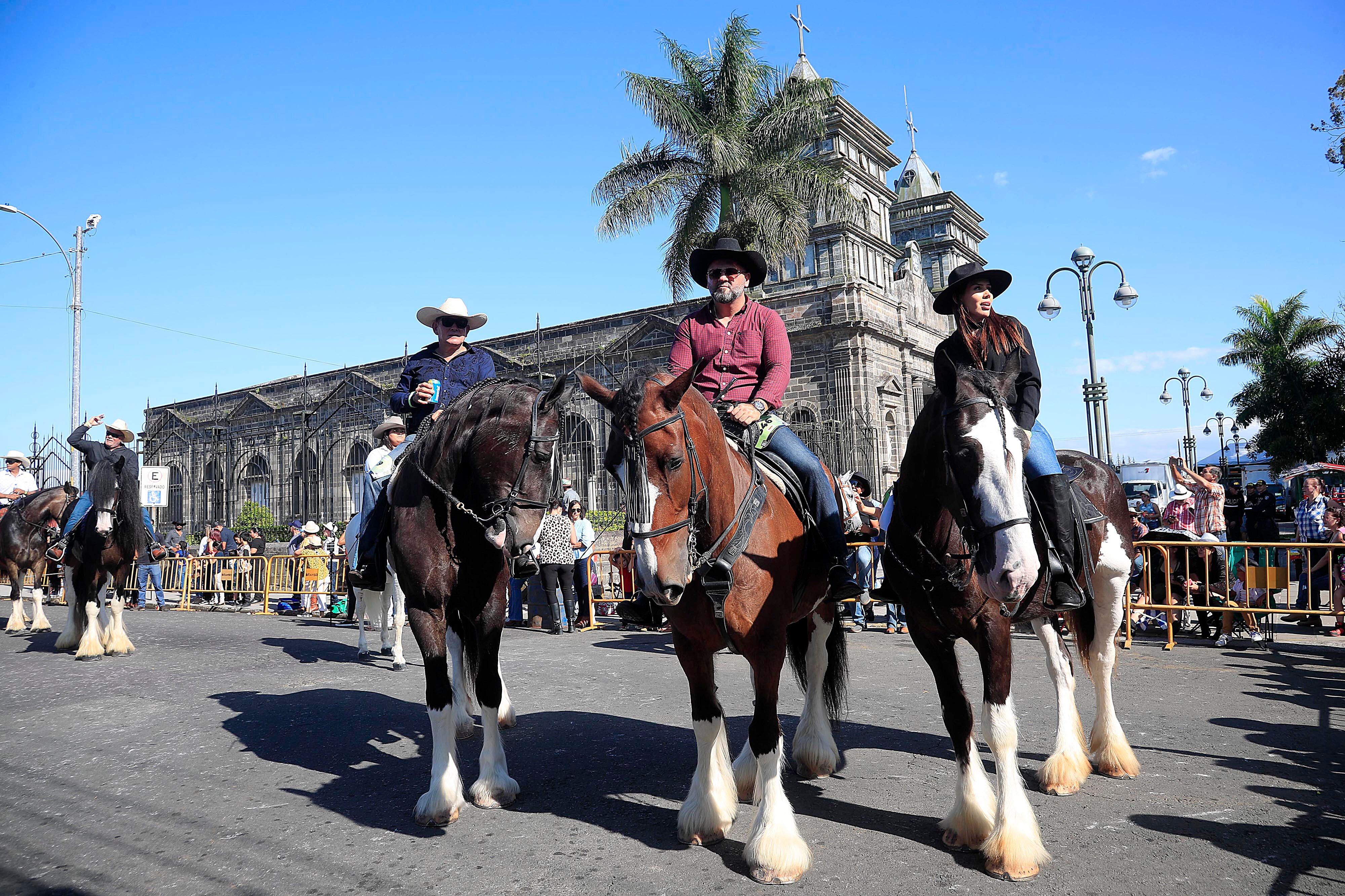 18/01/2024 Palmares. Con una muy escasa concurrencia, tanto de jinetes y caballos como de espectadores, se realizó este jueves el tradicional tope con el que inician oficialmente las fiestas cívicas en este cantón alajuelense. Además de los caballistas, destacó la presencia de reconocidas figuras de la política y la farándula.
