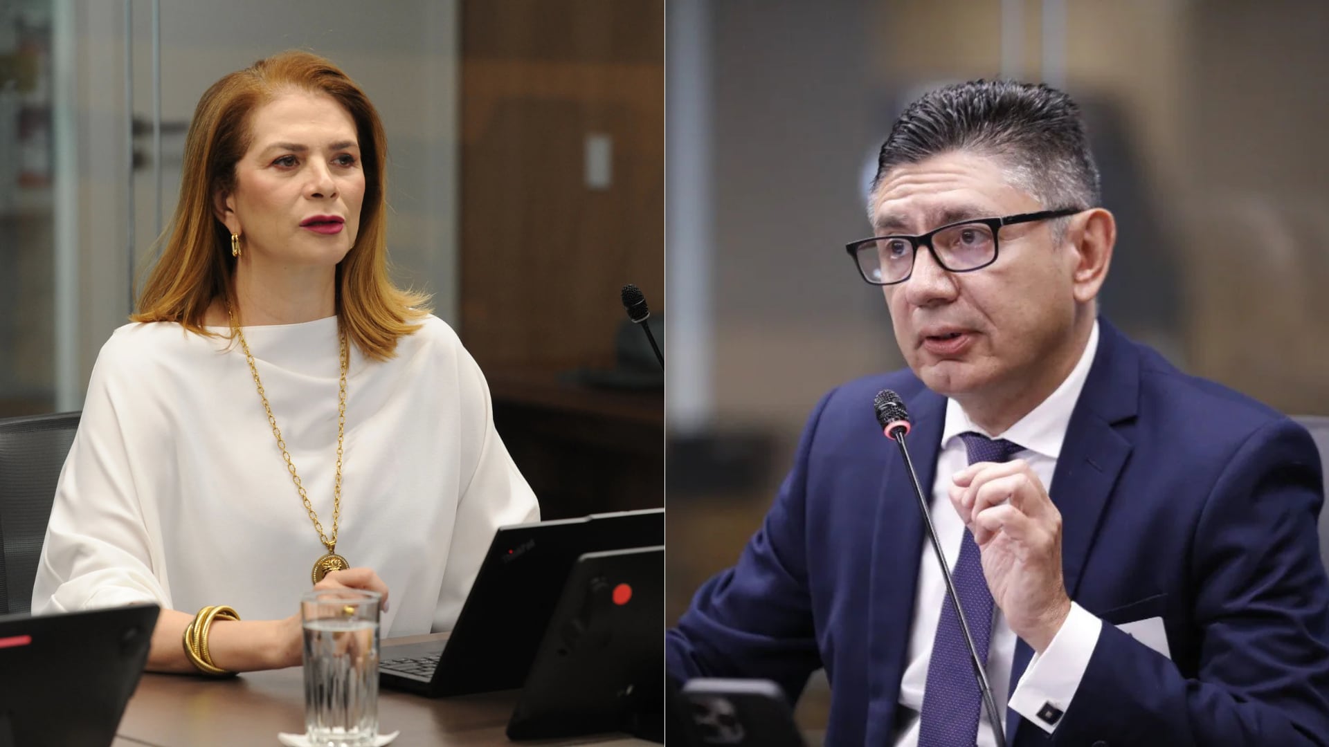 Mónica Araya, expresidenta del INS, y Luis Fernando Monge, exgerente general del INS