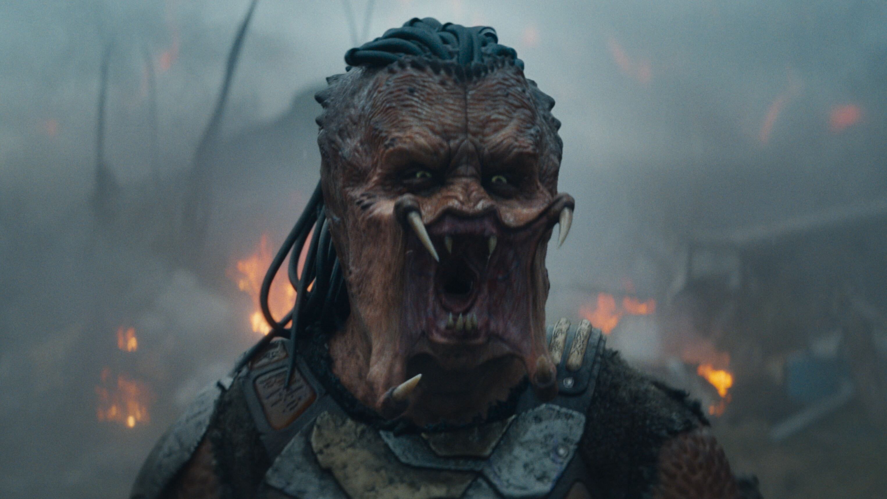 Depredador: tierras salvajes