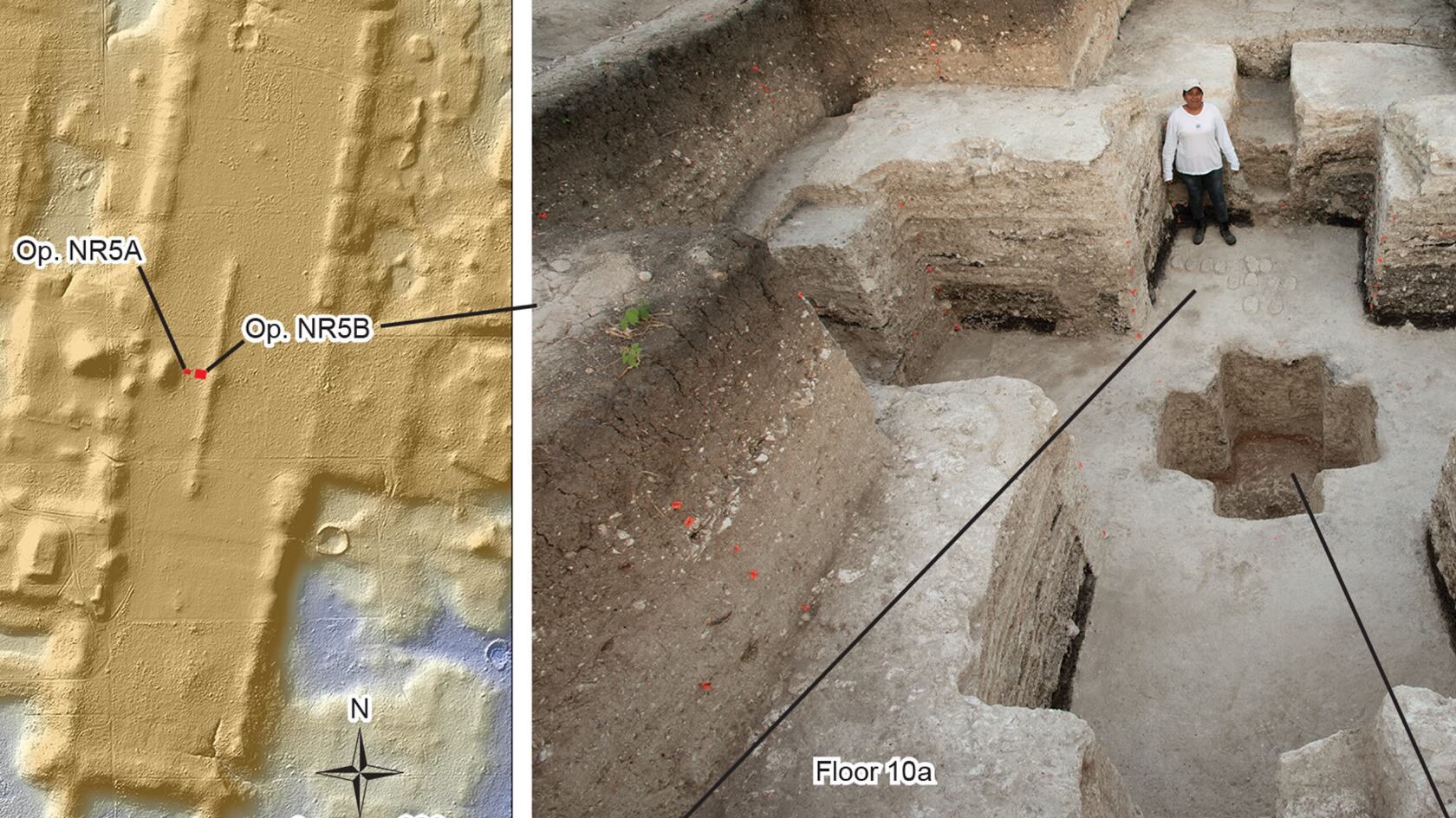 El sitio Aguada Fénix revela cómo los antiguos mayas representaban el universo sin necesidad de reyes ni jerarquías sociales.