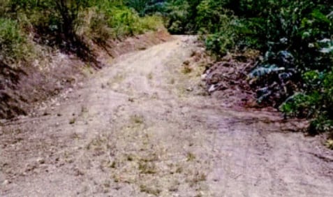 Agentes del OIJ hallaron movimientos de tierra en propiedad del sospechoso donde finalmente aparecieron los restos.