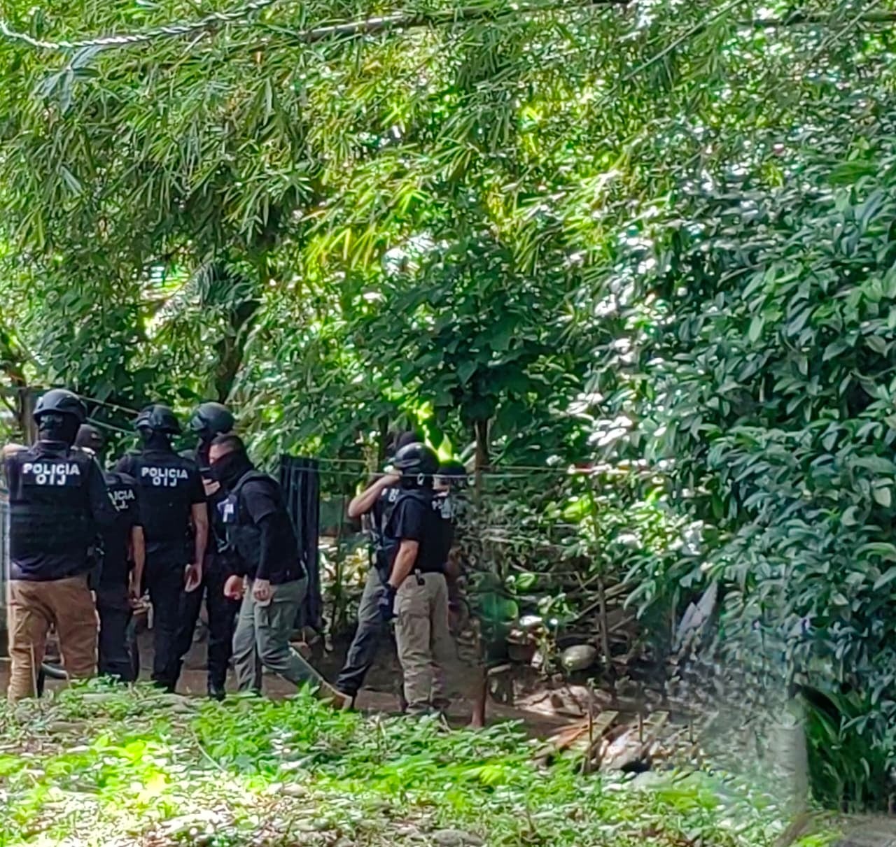 Agentes del OIJ ubicaron restos humanos en una propiedad ubicada en Tucurrique.