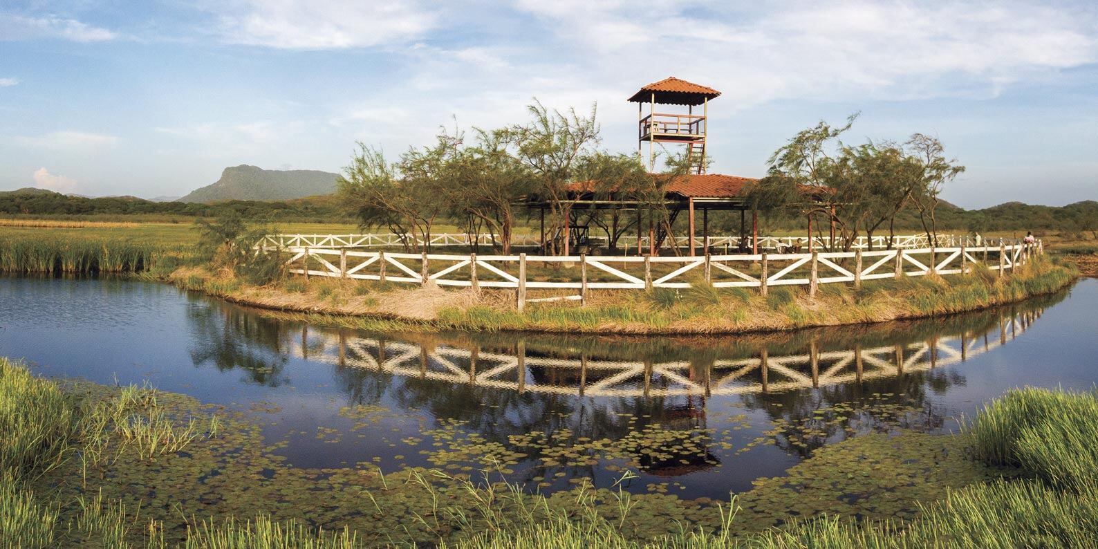 Hotel Estancia Rancho Humo, aves migratorias, Galán sin Ventura, Guanacaste