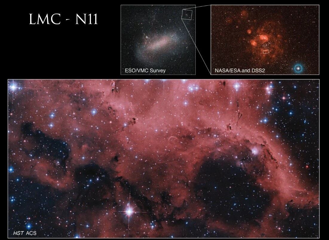 Hubble presenta una imagen detallada de N11, una nebulosa en la Gran Nube de Magallanes, con un espectacular color rosado y actividad estelar intensa.