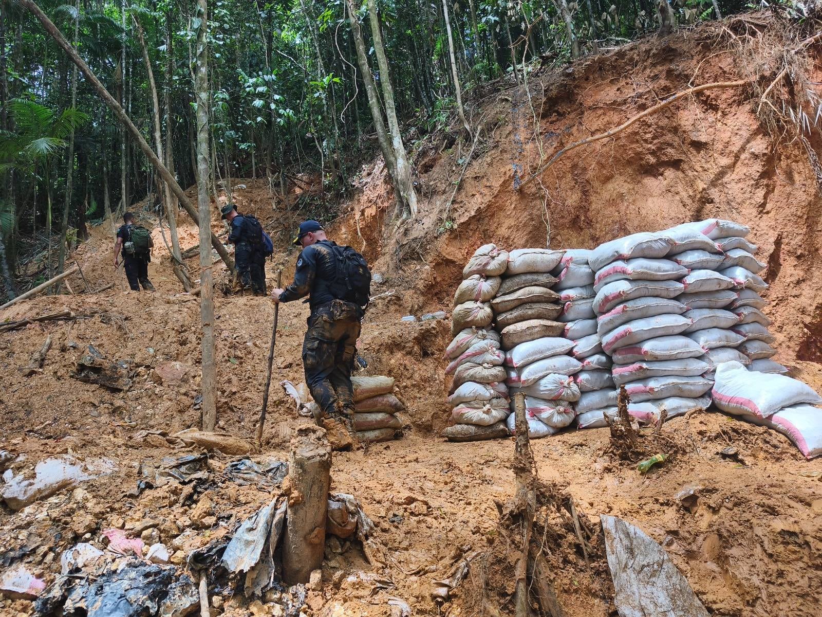 El Ministerio de Seguridad Pública detuvo a 11 personas durante una incursión al cerro Conchudita, en Cutris de San Carlos, como parte de las acciones de vigilancia contra la minería ilegal de oro que se realiza en el sitio de difícil acceso.