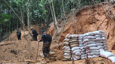 Editorial: ¿Vamos a seguir viendo cómo se roban el oro y devastan el bosque?