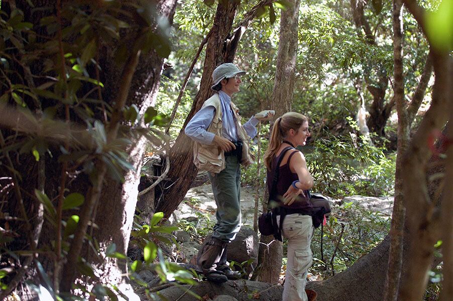 Un grupo de científicos en el bosque costarricense.