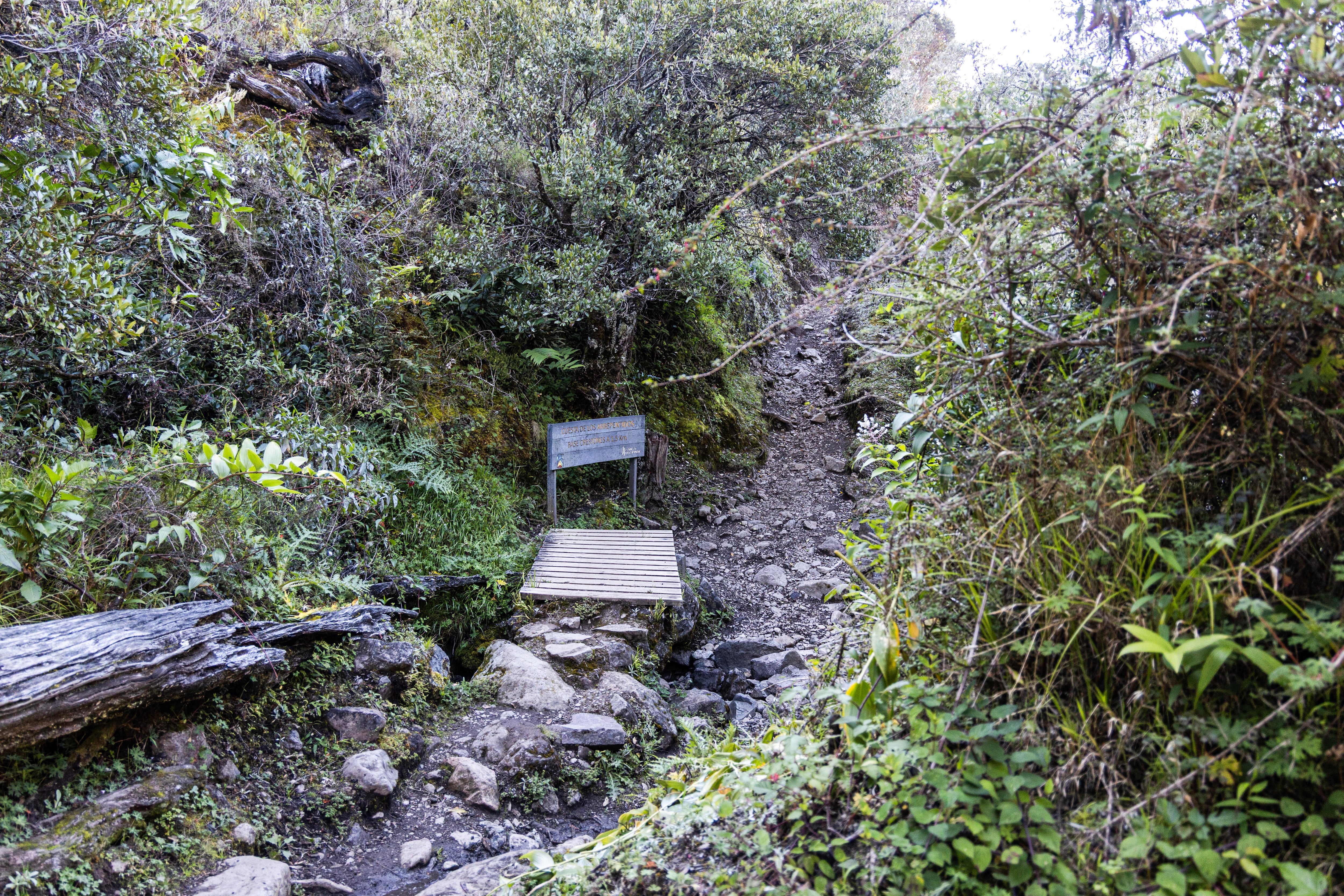 Parque Nacional Chirripo 50 años