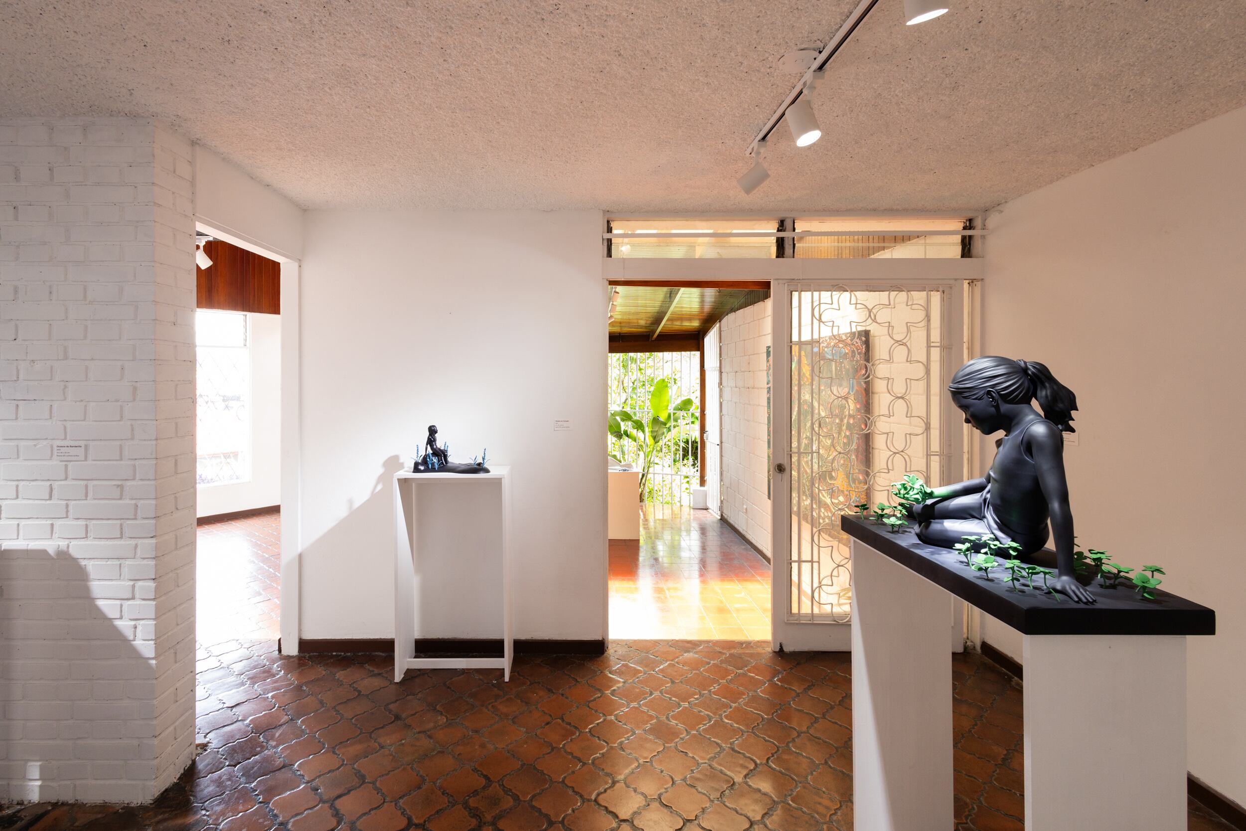 El Aleph es un espacio artístico gestionado por Klaus Steinmetz, ubicado en Sabana Norte. En la imagen, obra de Daniel Gómez.