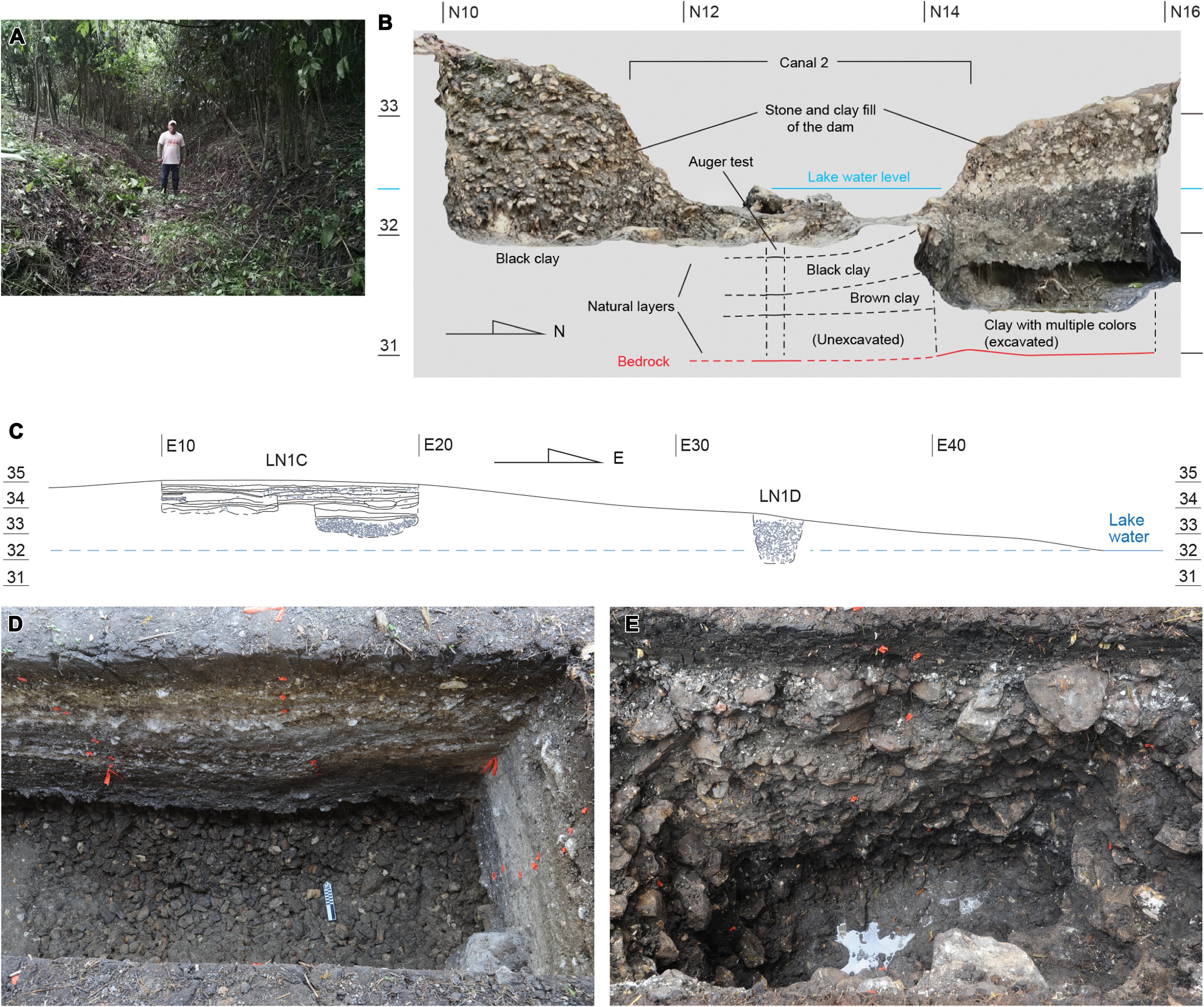El hallazgo en Aguada Fénix muestra que los mayas ya representaban el cosmos siglos antes de construir pirámides y establecer monarquías.