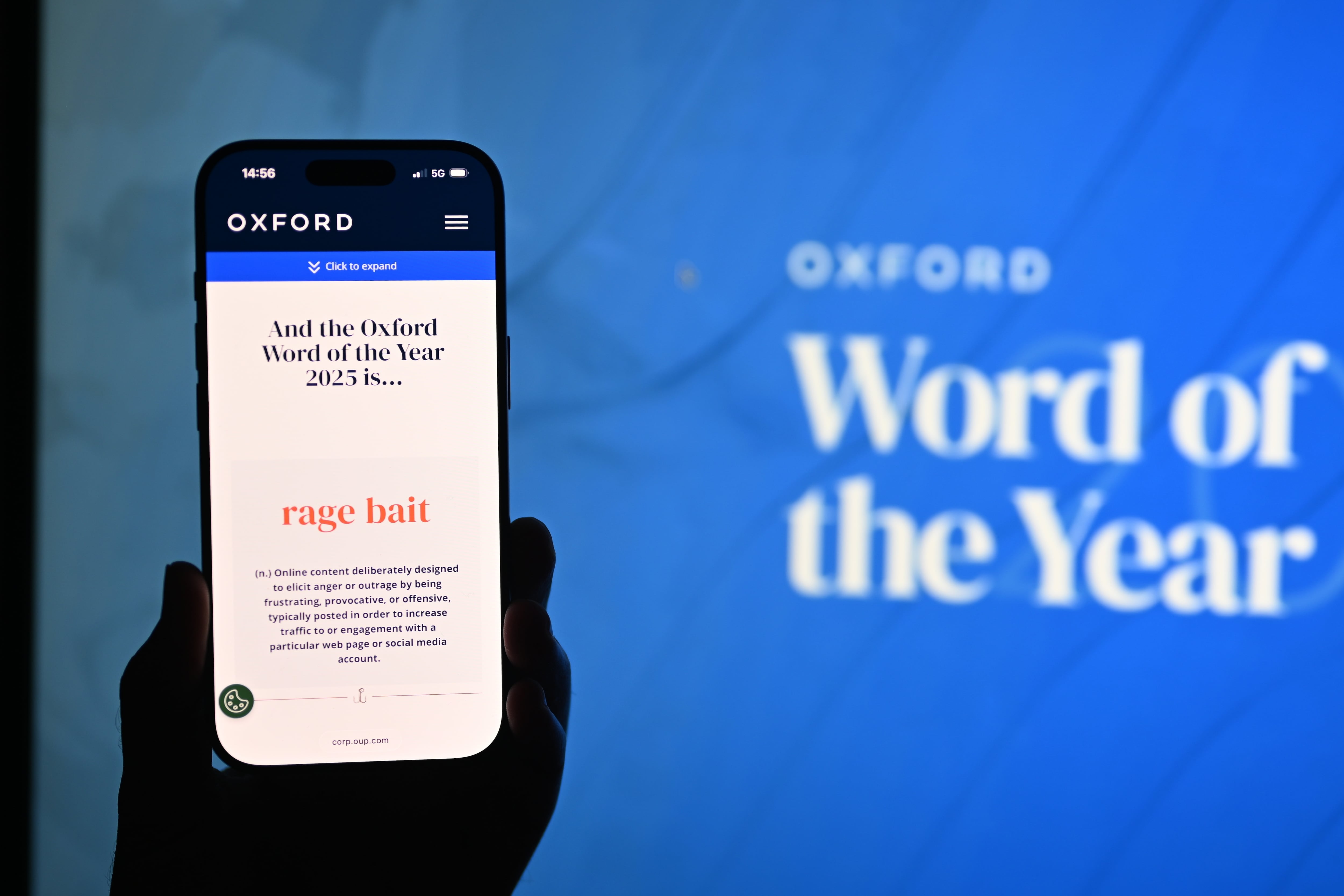Rage bait, palabra del año en Oxford Press. Carnada de la indignación. El método de provocar enojo para ganar clics en web