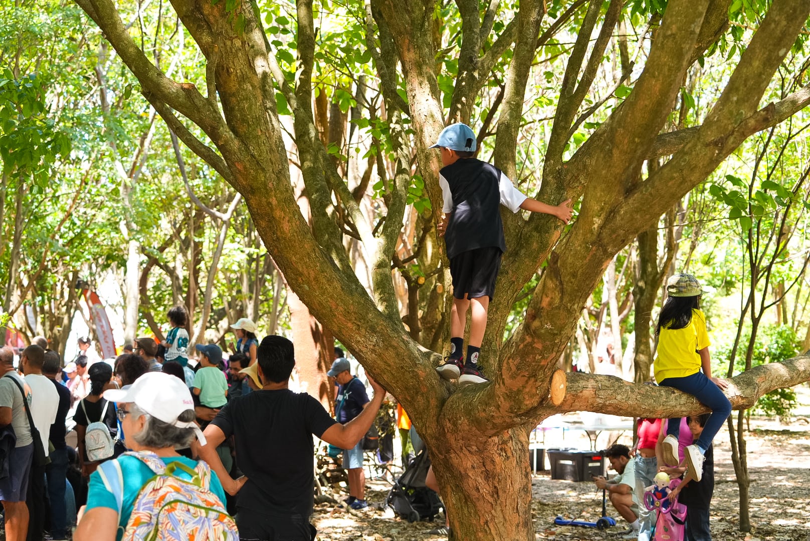 22/03/2026. FIA, Feria Internacional del Arte. Parque Metropolitano La Sabana. San José. Fotografía: Lilly Arce.