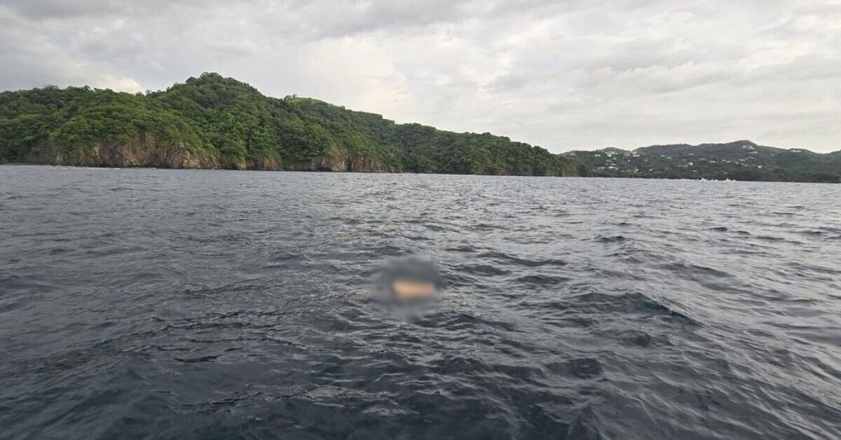 El cuerpo de un hombre fue hallado sin vida por trabajadores de jet skis en Playas del Coco, en Sardinal de Guanacaste. En apariencia, la víctima portaba equipo de buceo y aletas para nadar. (Foto: suministrada por Reiner Montero, corresponsal GN)