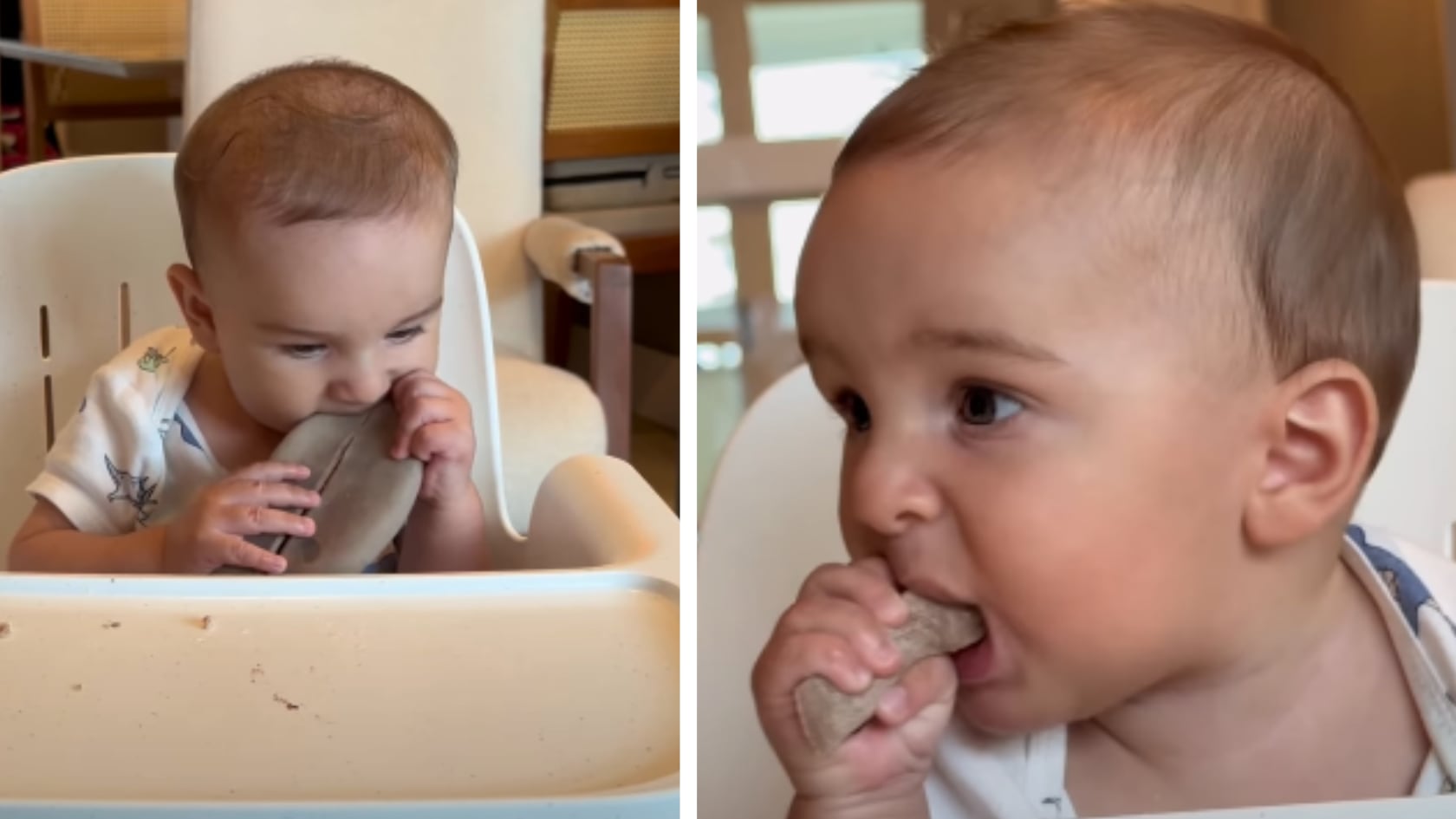 Nutricionista aclara si pulpo y lengua de res son adecuados desde los 6 meses en la dieta infantil.